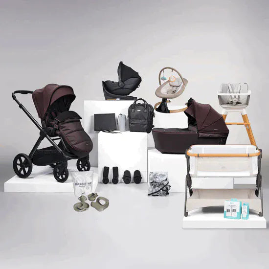 Bababing 18-Piece Raffi Travel System Bundle