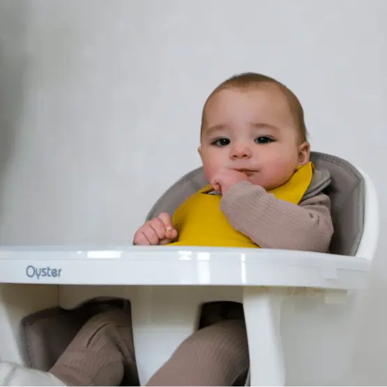 Baby High Chairs