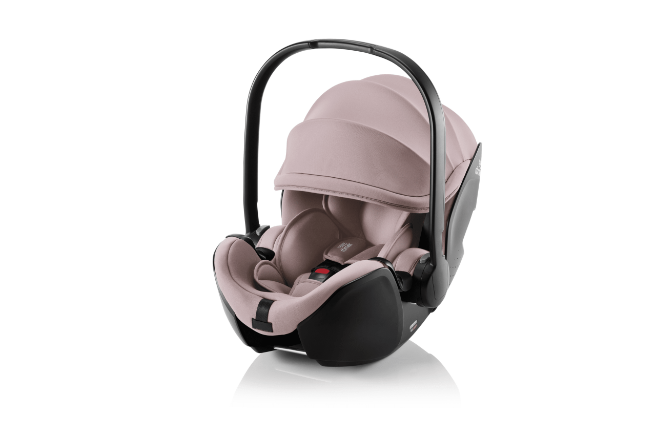 britax carrier Britax Römer BABY-SAFE PRO Infant Carrier
