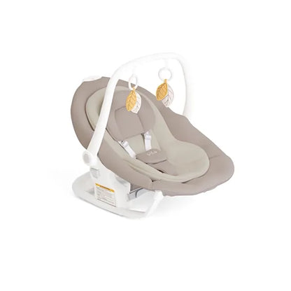 Joie Whimsy Wind Up 2-in-1 Swing & Rocker