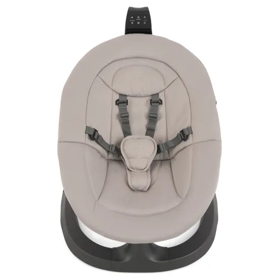 Oyster Ocean Rocker